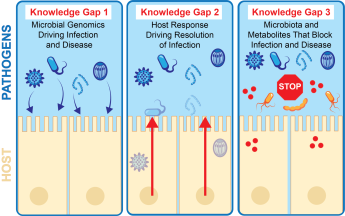 Knowledge gaps