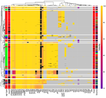 Heatmap of Toxin Gene Identity Across Staphylococcus aureus Genomes