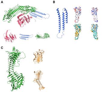 Predicting HlyA Structure